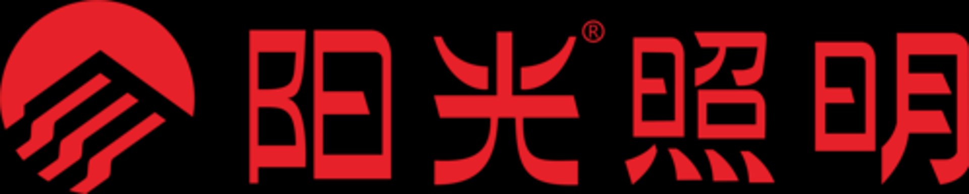 国阳照明电器